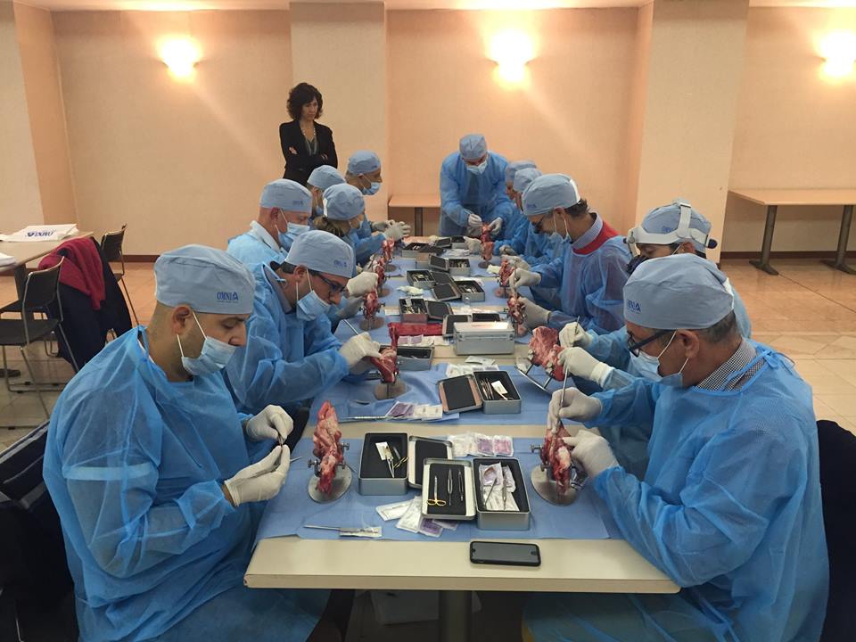 Corso hands-on sulle suture in chirurgia orale